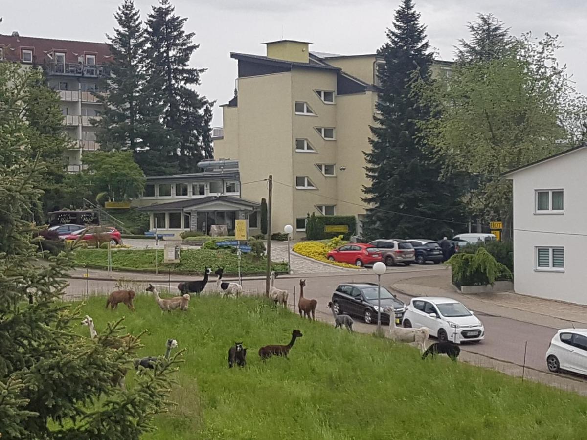 Hotel Haefner Bad Schonborn Exterior foto